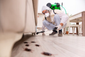 pest control specialist removing pests