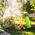 Preparing Your Home for Spring Pest Season